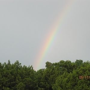 Meet your Posher, Carol